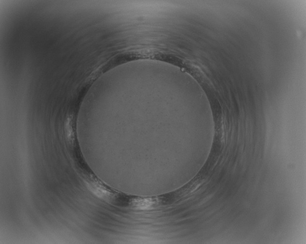 X0000074040131200608211528