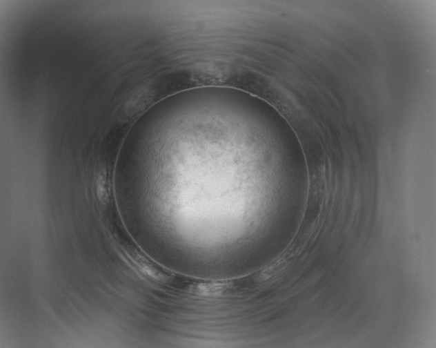 X0000074040134200608211528