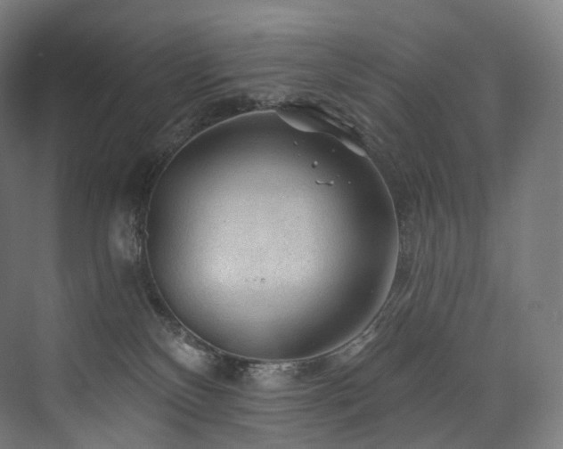 X0000074040136200608211528