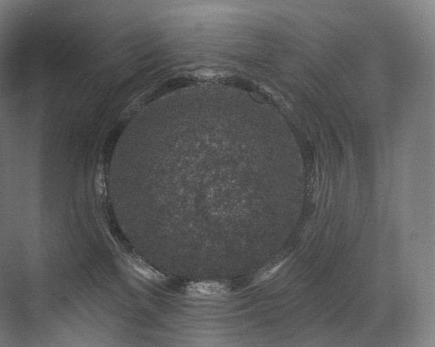 X0000074040137200608211528