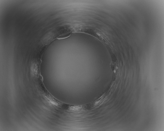 X0000074040139200608211528