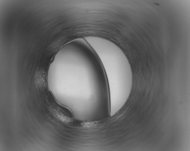 X0000074040141200608211528