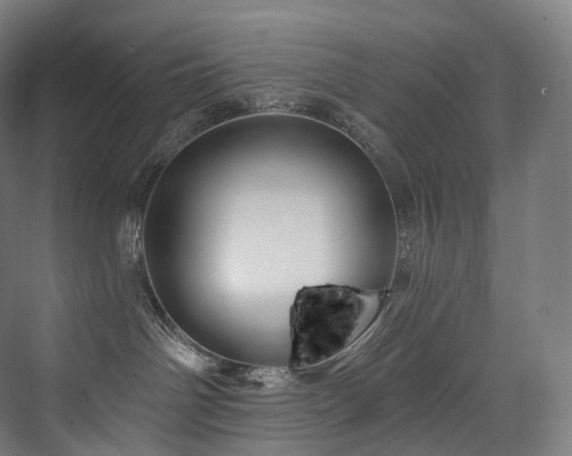 X0000074040142200608211528