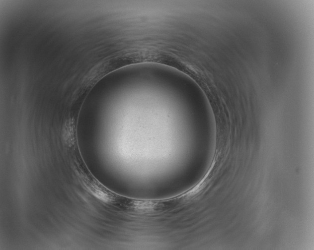 X0000074040144200608211528