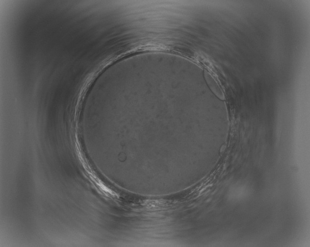 X0000074040145200608211527