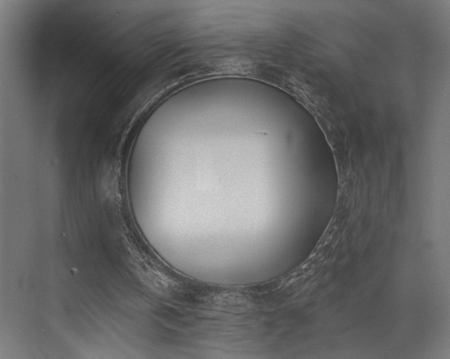 X0000074040146200608211527