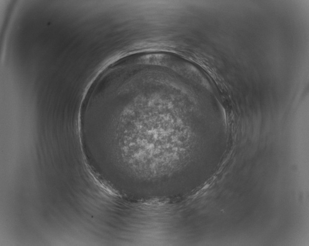 X0000074040148200608211527