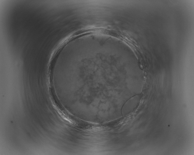 X0000074040149200608211527