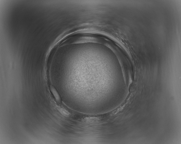 X0000074040150200608211527