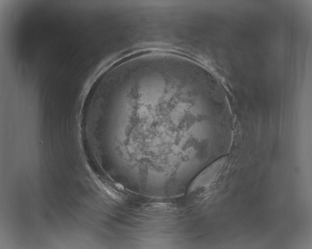 X0000074040151200608211527