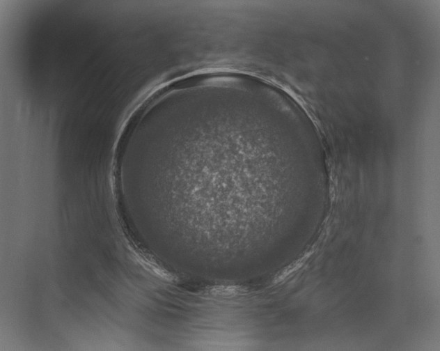 X0000074040152200608211527