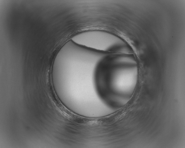 X0000074040153200608211527