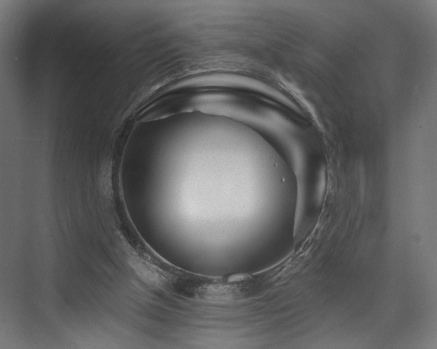 X0000074040154200608211527