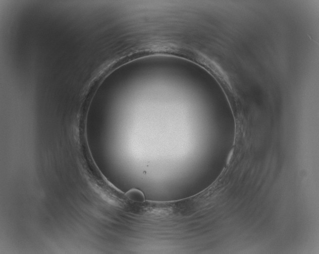 X0000074040155200608211527