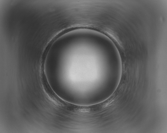 X0000074040156200608211527