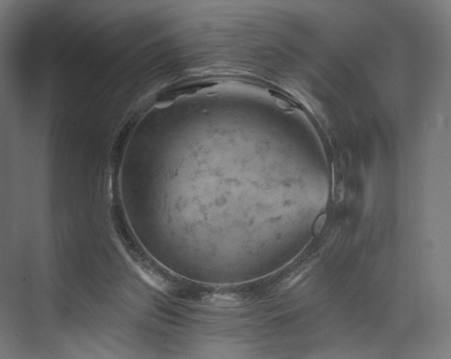 X0000074040157200608211527