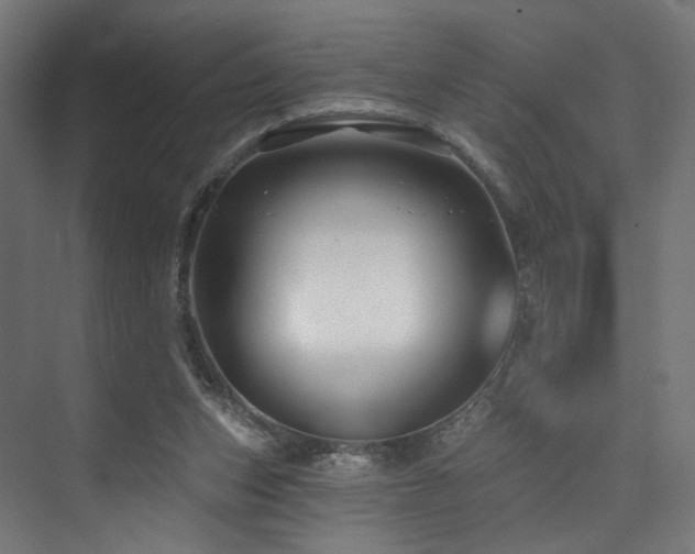 X0000074040159200608211527