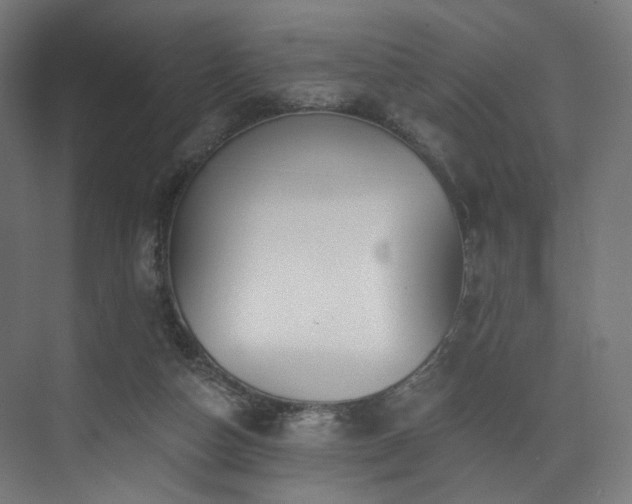 X0000074040162200608211528