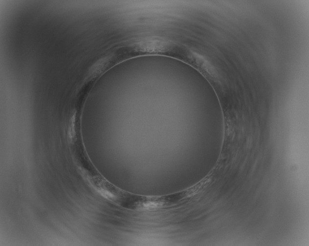 X0000074040163200608211528