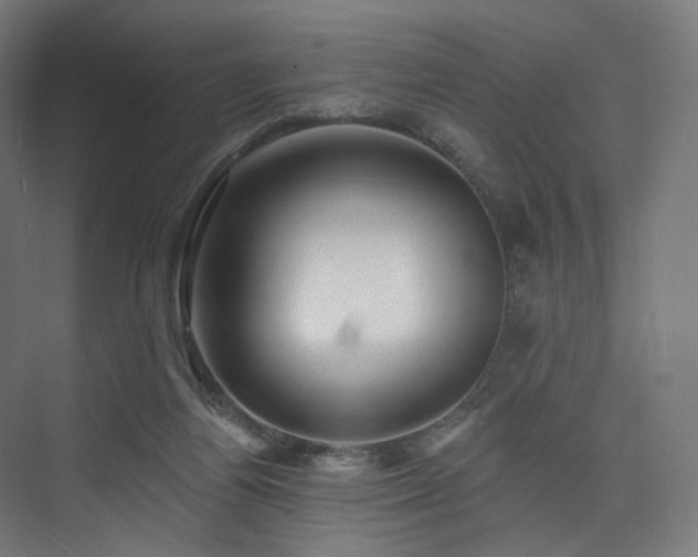 X0000074040164200608211528