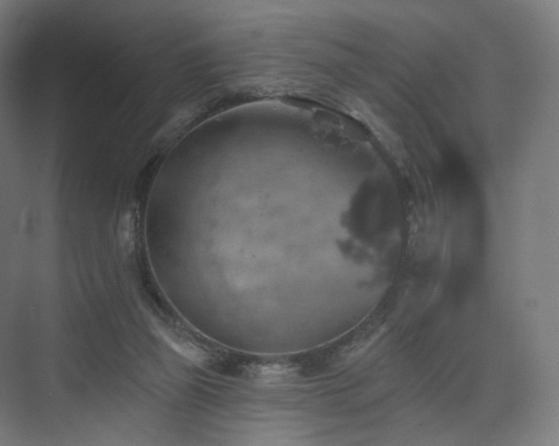 X0000074040165200608211528