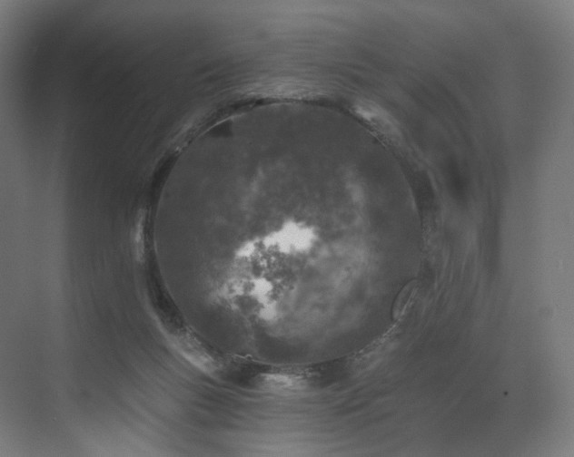 X0000074040167200608211528