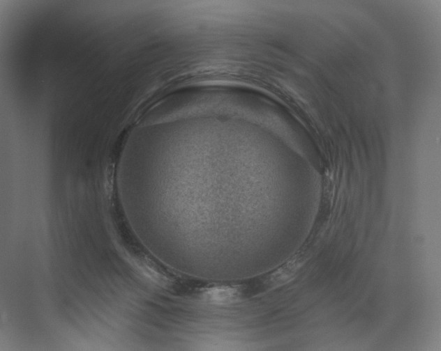 X0000074040168200608211528