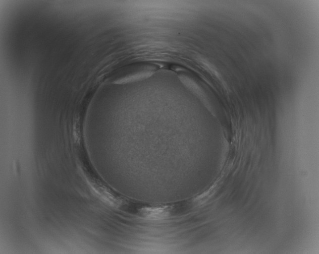 X0000074040170200608211528