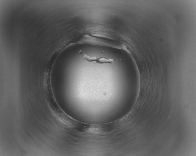 X0000074040171200608211528