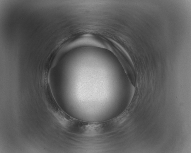 X0000074040172200608211528