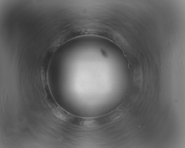 X0000074040173200608211528