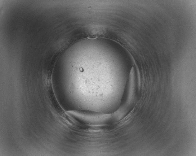 X0000074040176200608211528