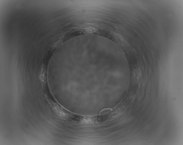 X0000074040177200608211528