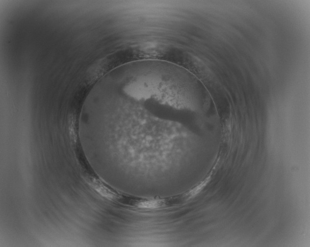 X0000074040178200608211528