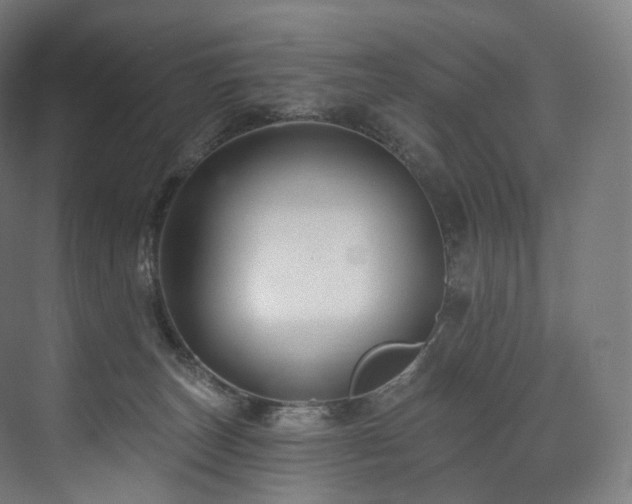 X0000074040179200608211528