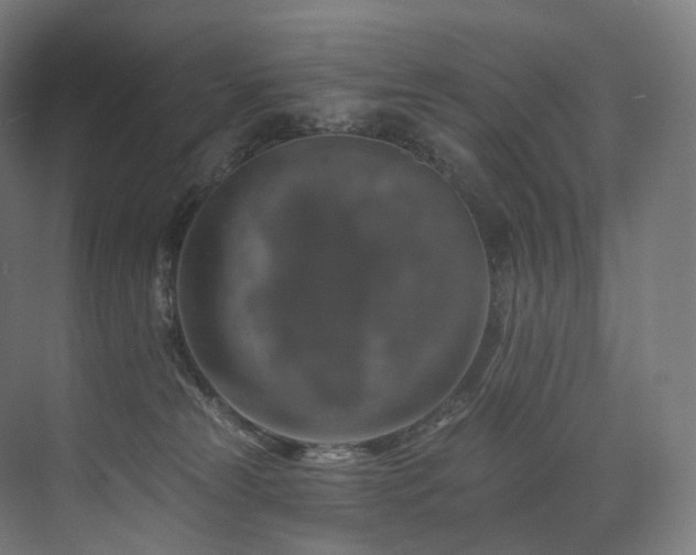 X0000074040181200608211528