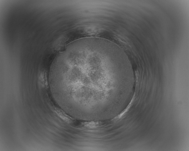 X0000074040182200608211528