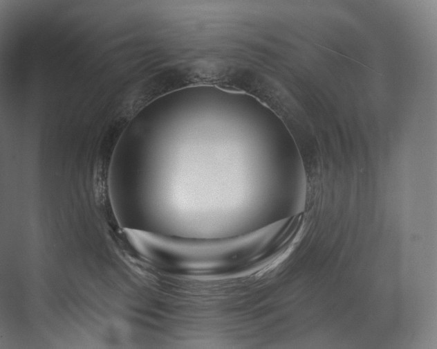 X0000074040186200608211528