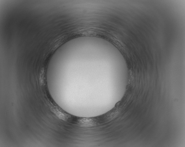 X0000074040189200608211528