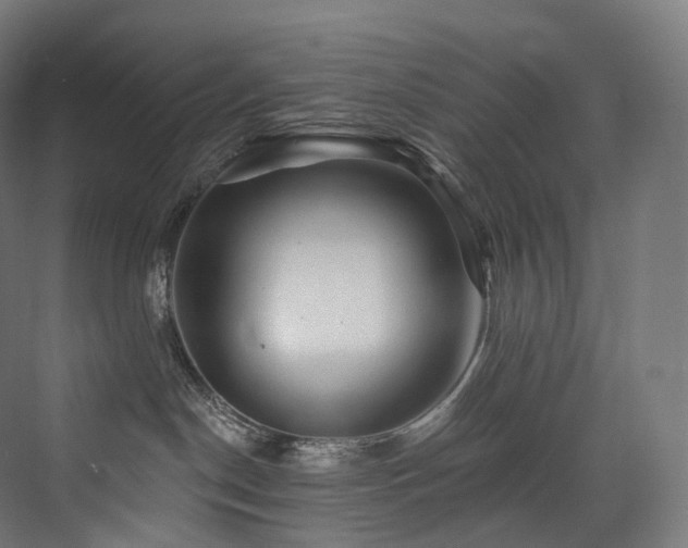 X0000074040190200608211528