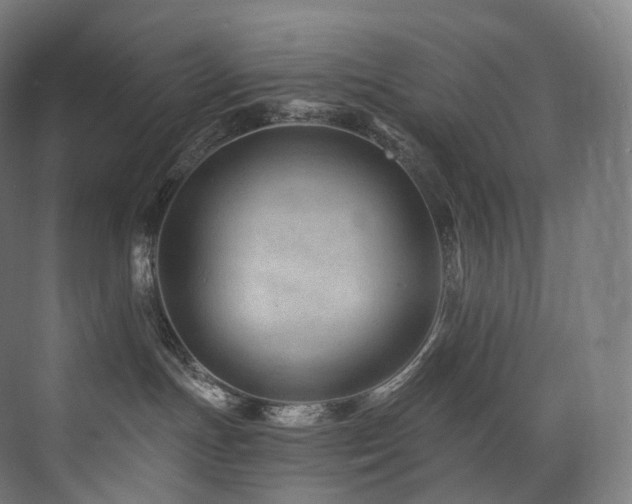 X0000074040191200608211528