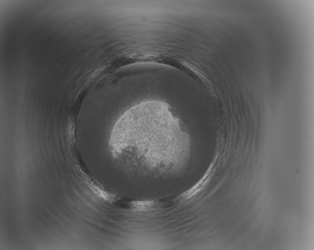 X0000074040192200608211528