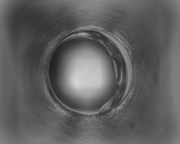 X0000074040193200608211527