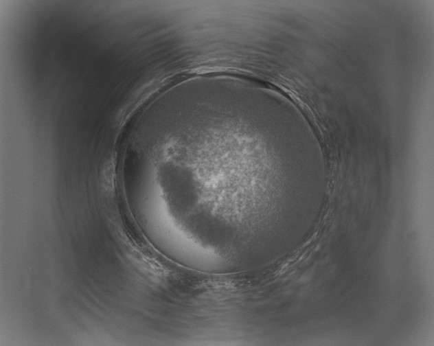 X0000074040194200608211527