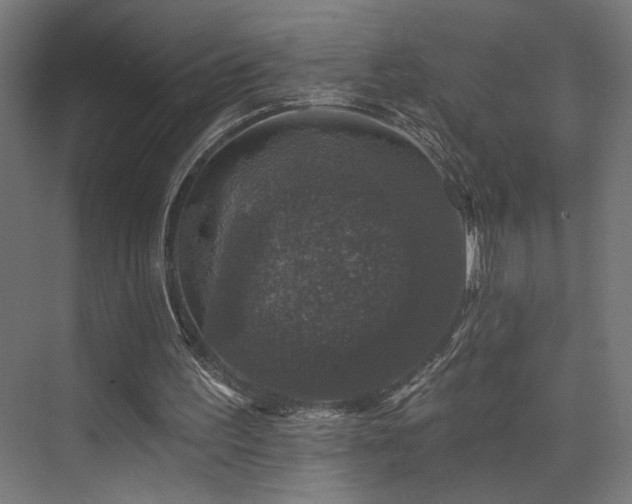 X0000074040195200608211527