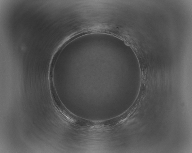 X0000074040196200608211527