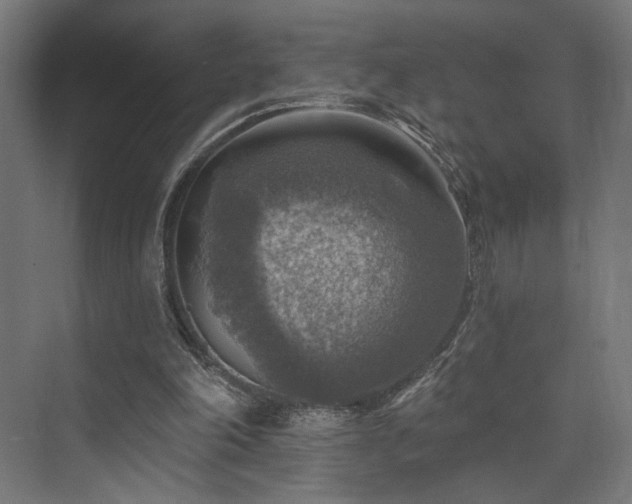 X0000074040198200608211527