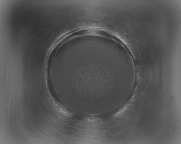 X0000074040199200608211527