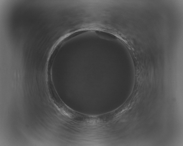 X0000074040200200608211527