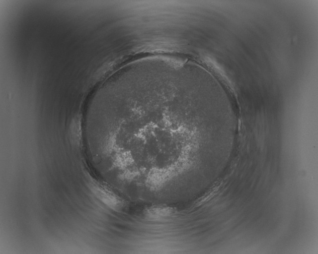 X0000074040202200608211527